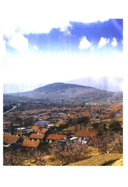 《沟崖村志》.pdf电子版_山东省志预览图2