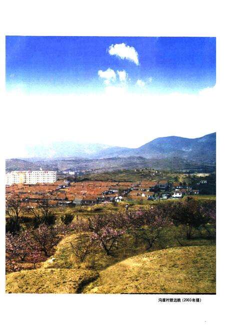 《沟崖村志》.pdf电子版_山东省志预览图3