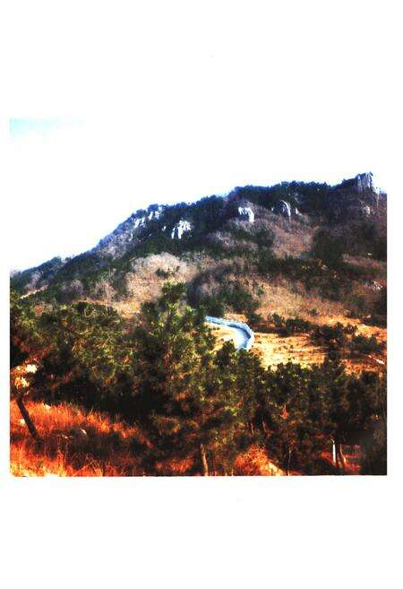 《沟崖村志》.pdf电子版_山东省志预览图4