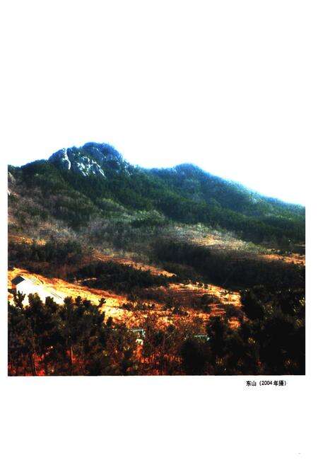 《沟崖村志》.pdf电子版_山东省志预览图5