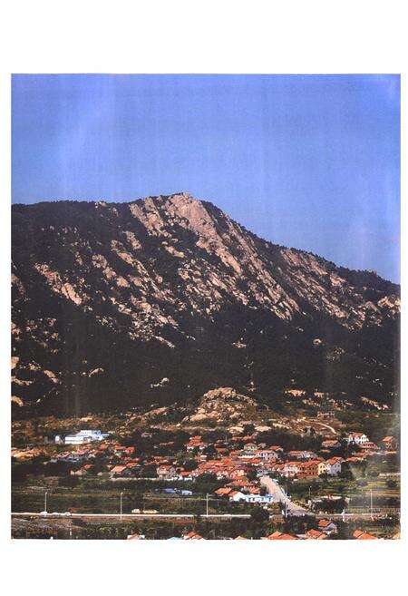 《唐家庄村志》.pdf电子版_山东省志预览图3