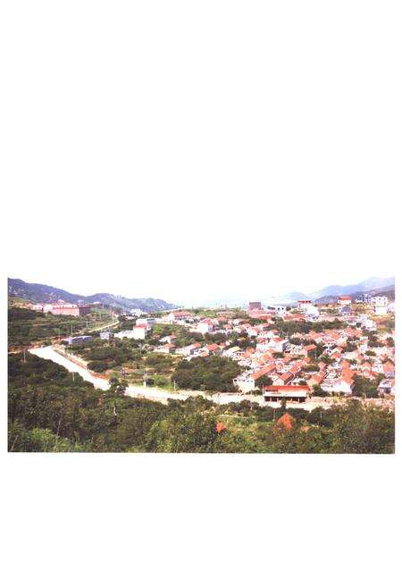 《下葛场村志》.pdf电子版_山东省志预览图3