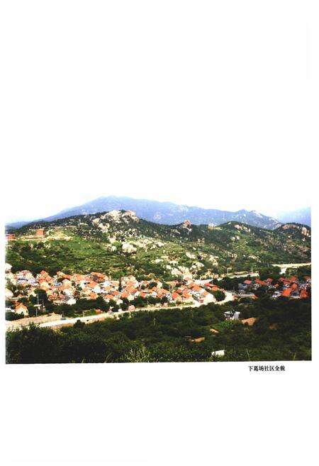 《下葛场村志》.pdf电子版_山东省志预览图4