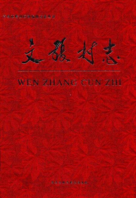 《文张村志》.pdf电子版_山东省志缩略图