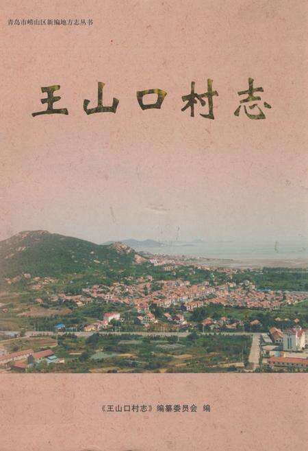 《王山口村志》.pdf电子版_山东省志缩略图