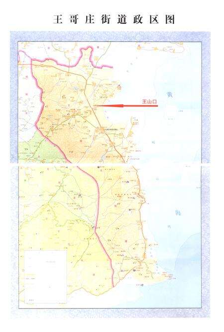 《王山口村志》.pdf电子版_山东省志预览图2