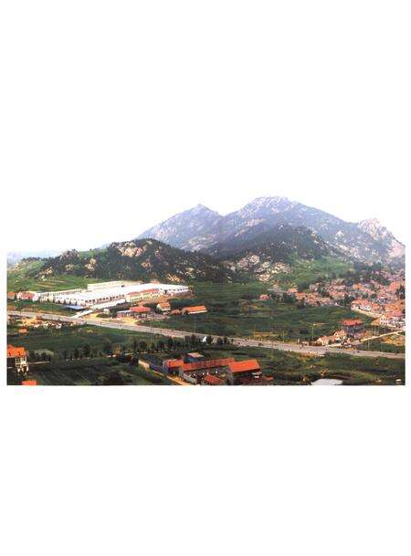 《王山口村志》.pdf电子版_山东省志预览图3