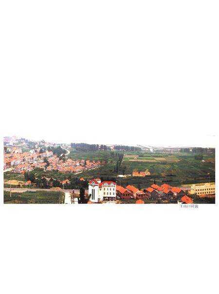 《王山口村志》.pdf电子版_山东省志预览图4