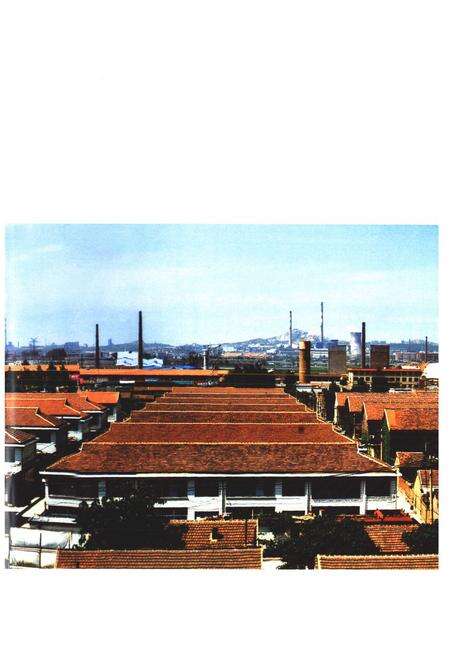 《张赵村志》.pdf电子版_山东省志预览图4