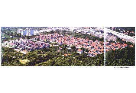 《西乌衣巷村志》.pdf电子版_山东省志预览图2