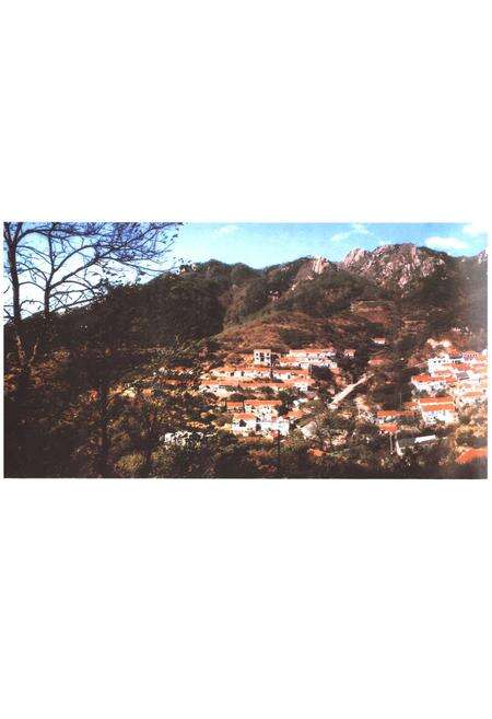 《慕武石村志》.pdf电子版_山东省志预览图3