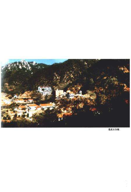 《慕武石村志》.pdf电子版_山东省志预览图4