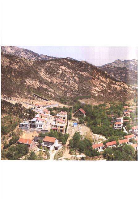 《西台村志》.pdf电子版_山东省志预览图3