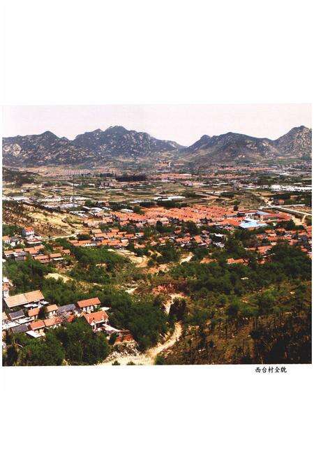 《西台村志》.pdf电子版_山东省志预览图4