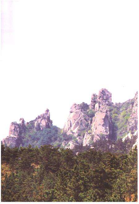 《西台村志》.pdf电子版_山东省志预览图5