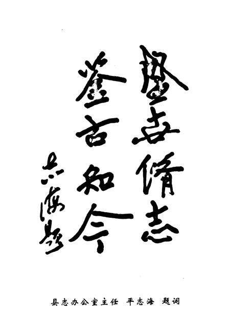 《前街村志》.pdf电子版_山东省志预览图3