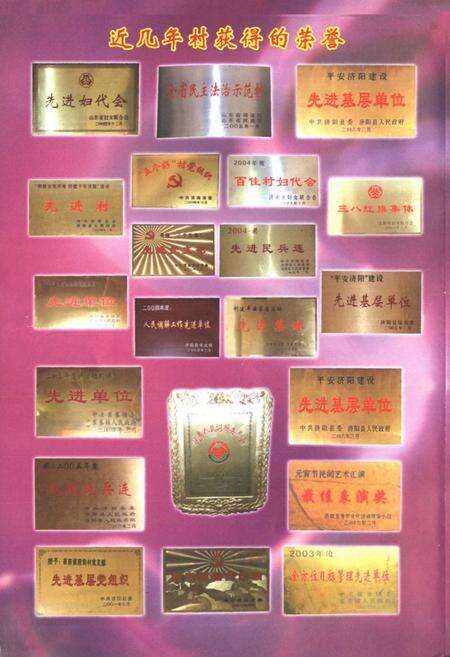 《前街村志》.pdf电子版_山东省志预览图5