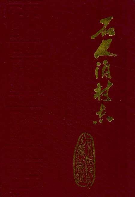 《石人泊村志》.pdf电子版_山东省志缩略图