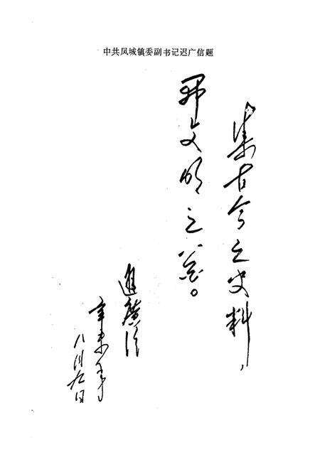 《石人泊村志》.pdf电子版_山东省志预览图4