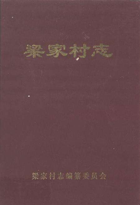 《梁家村志》.pdf电子版_山东省志缩略图