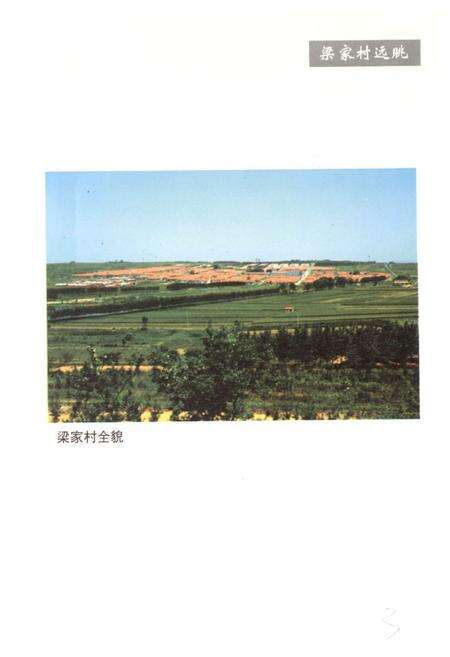 《梁家村志》.pdf电子版_山东省志预览图4