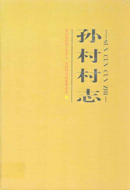 《孙村村志》.pdf电子版_山东省志缩略图