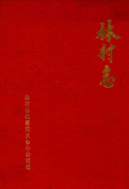 《林村志》.pdf电子版_山东省志缩略图