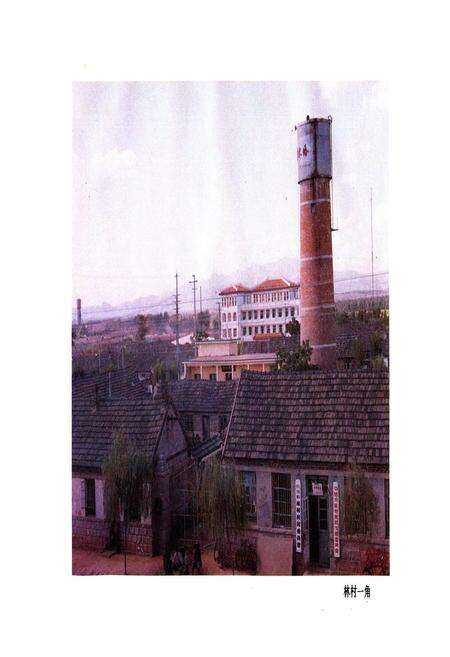 《林村志》.pdf电子版_山东省志预览图2