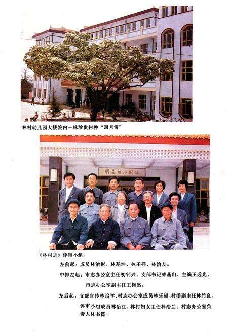 《林村志》.pdf电子版_山东省志预览图5