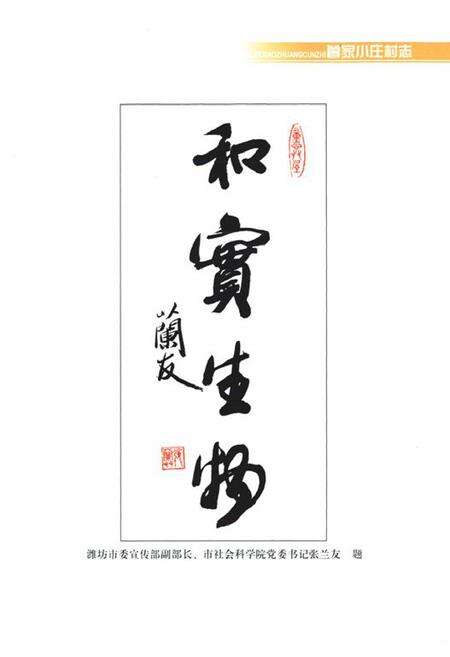 《曾家小庄村志》.pdf电子版_山东省志预览图2