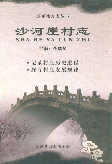《《沙河崖村志》》.pdf电子版_山东省志缩略图