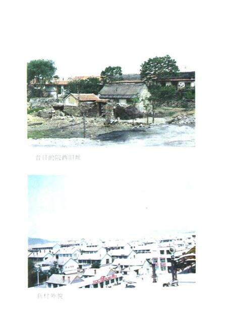 《《院西村志》》.pdf电子版_山东省志预览图3