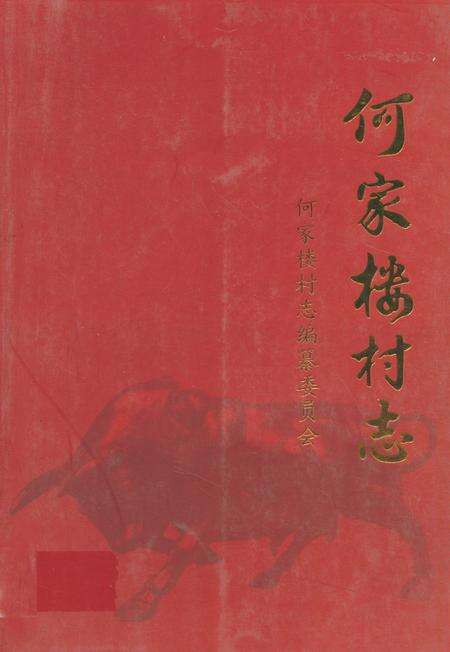 《《何家楼村志》》.pdf电子版_山东省志缩略图