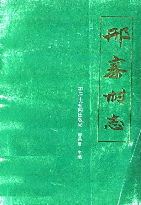 《《邢寨村志》》.pdf电子版_山东省志缩略图