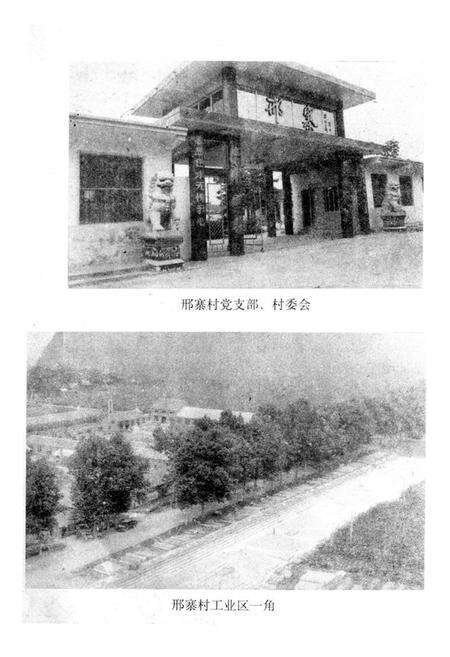 《《邢寨村志》》.pdf电子版_山东省志预览图5