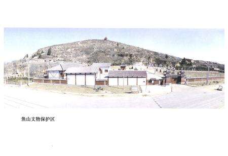 《《鱼山村志》》.pdf电子版_山东省志预览图4