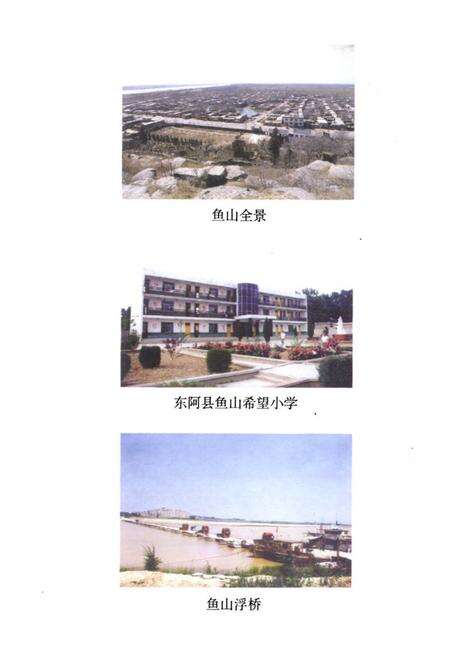《《鱼山村志》》.pdf电子版_山东省志预览图5