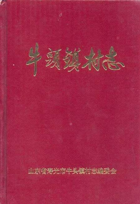 《《牛头镇村志》》.pdf电子版_山东省志缩略图