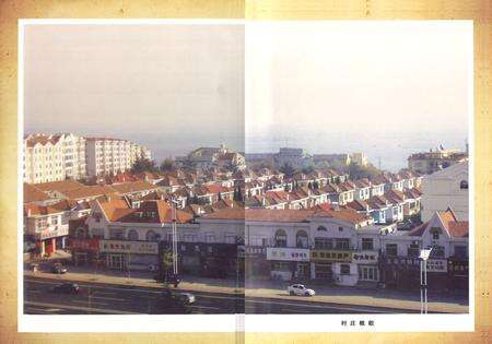 《石沟屯村志》.pdf电子版_山东省志预览图4