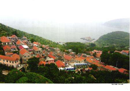 《黄山口村志》.pdf电子版_山东省志预览图4