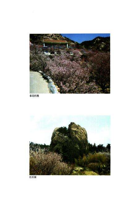 《磅石村志》.pdf电子版_山东省志预览图4