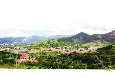 《五龙村志》.pdf电子版_山东省志预览图3