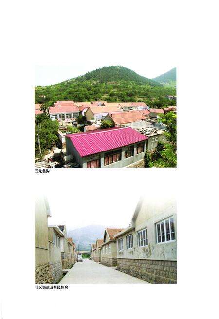 《五龙村志》.pdf电子版_山东省志预览图4