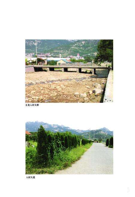 《五龙村志》.pdf电子版_山东省志预览图5