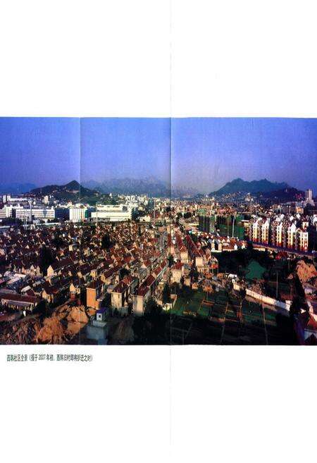 《西韩村志》.pdf电子版_山东省志预览图4