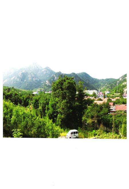 《《蓝家庄村志》》.pdf电子版_山东省志预览图3