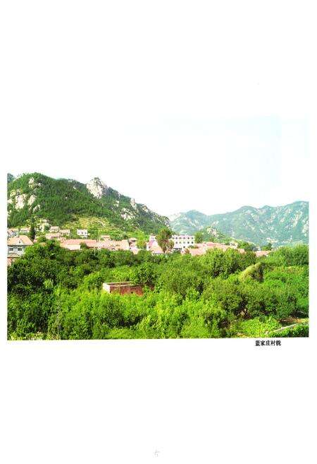 《《蓝家庄村志》》.pdf电子版_山东省志预览图4