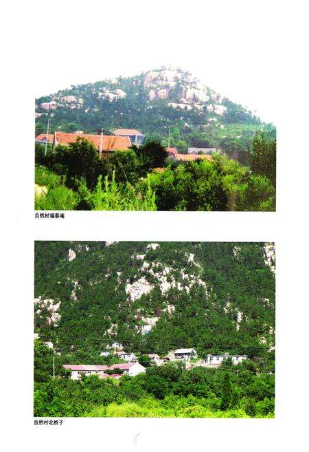 《《蓝家庄村志》》.pdf电子版_山东省志预览图5