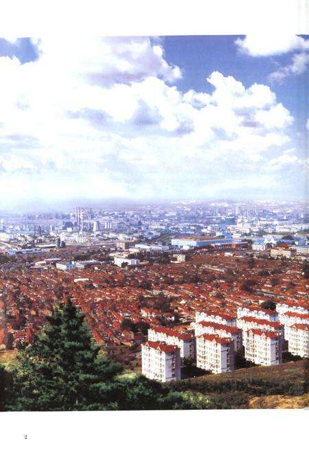 《大枣园村志》.pdf电子版_山东省志预览图2