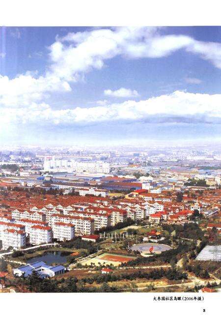 《大枣园村志》.pdf电子版_山东省志预览图3